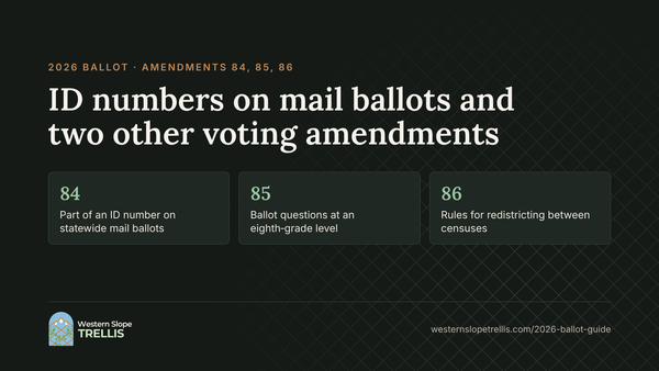 ID numbers on mail ballots and two other voting amendments