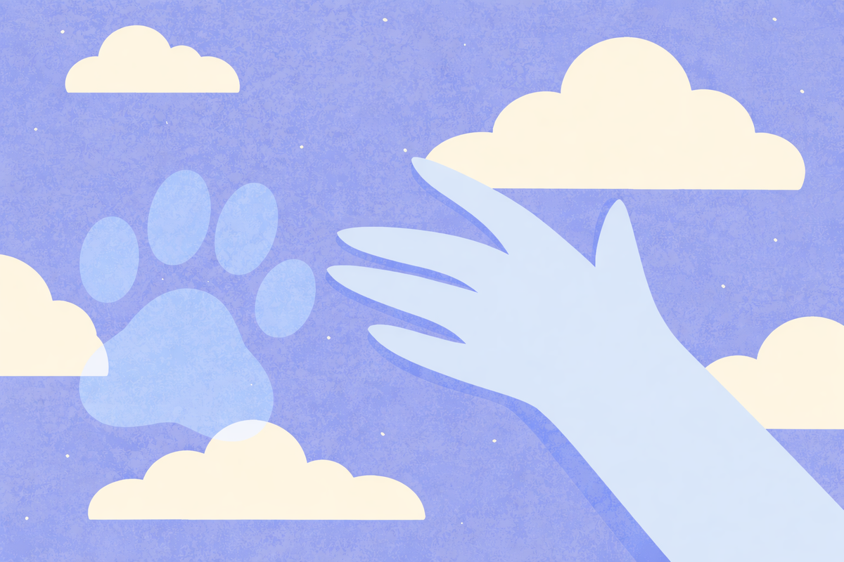 How Does Pet Cremation Work? A Step-by-Step Guide