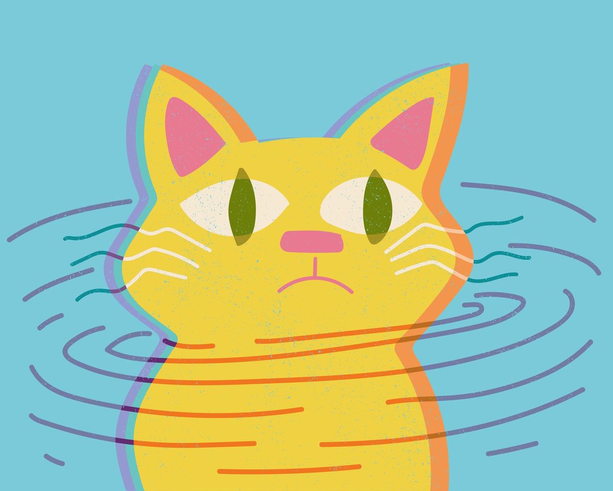 Signs Your Pet Is Dying: What to Watch For and When to Call the Vet