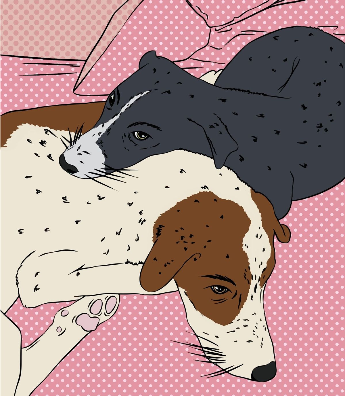Do Dogs and Cats Know When They're Dying? What the Science Actually Says