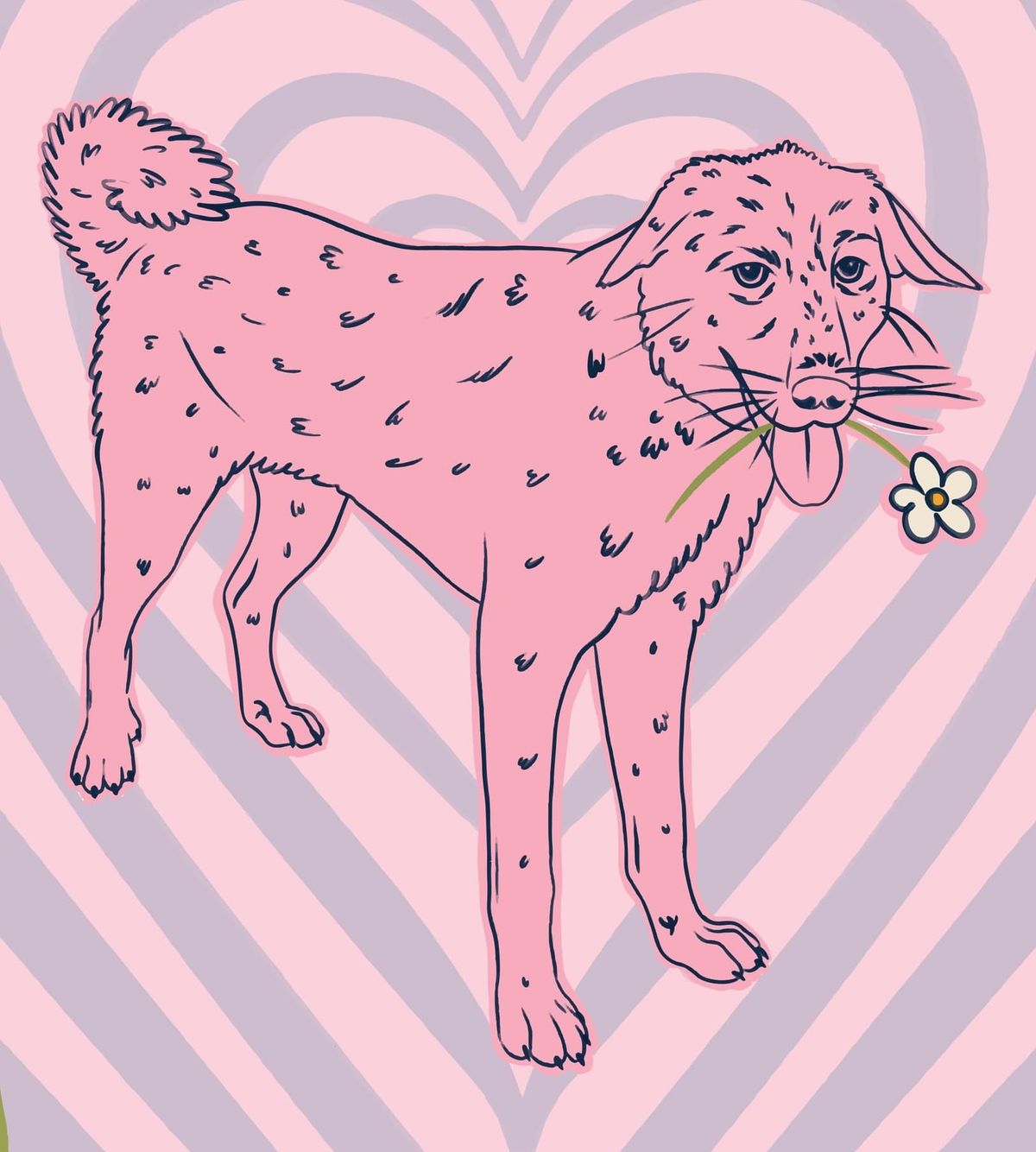 How to Memorialize Your Pet: Ideas That Actually Help