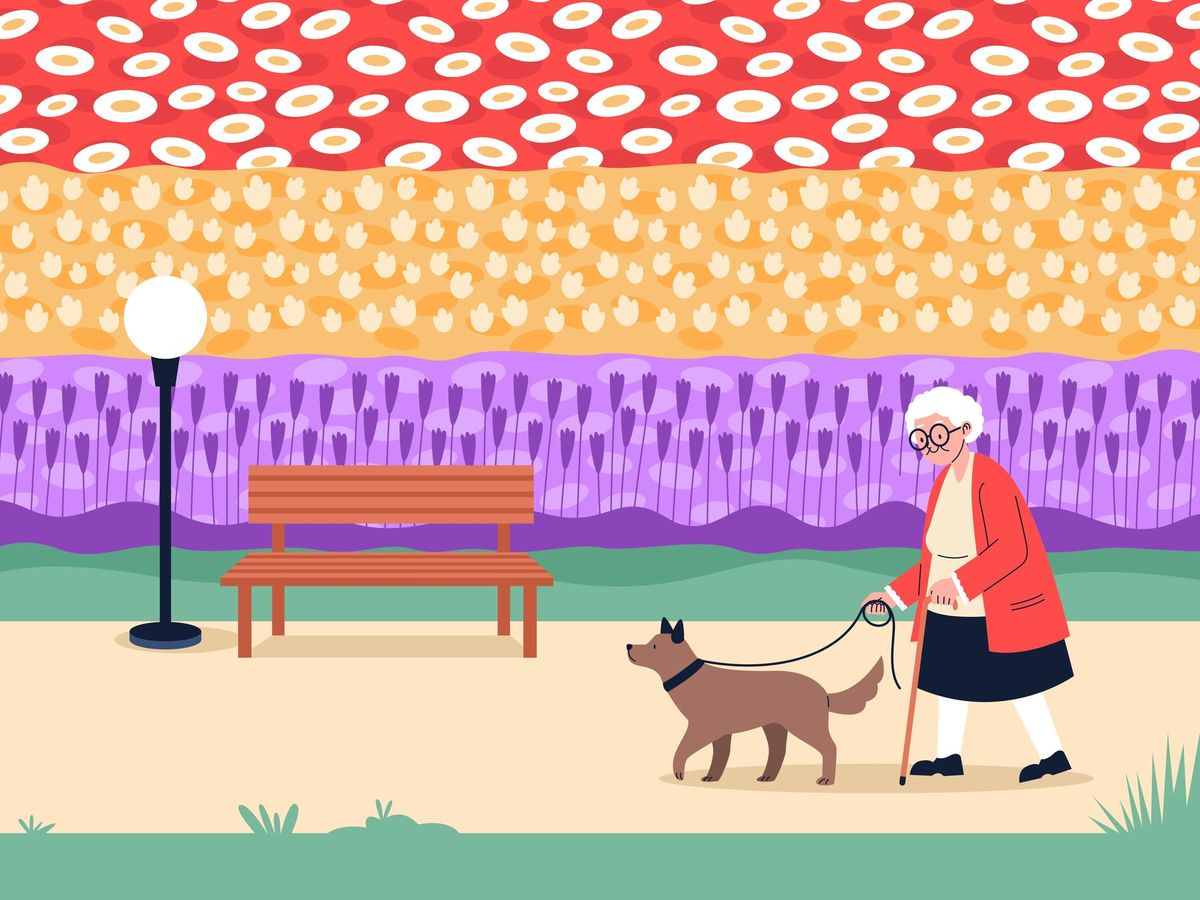 Pet Grief for Seniors: Why It Hits So Hard and What to Do Next