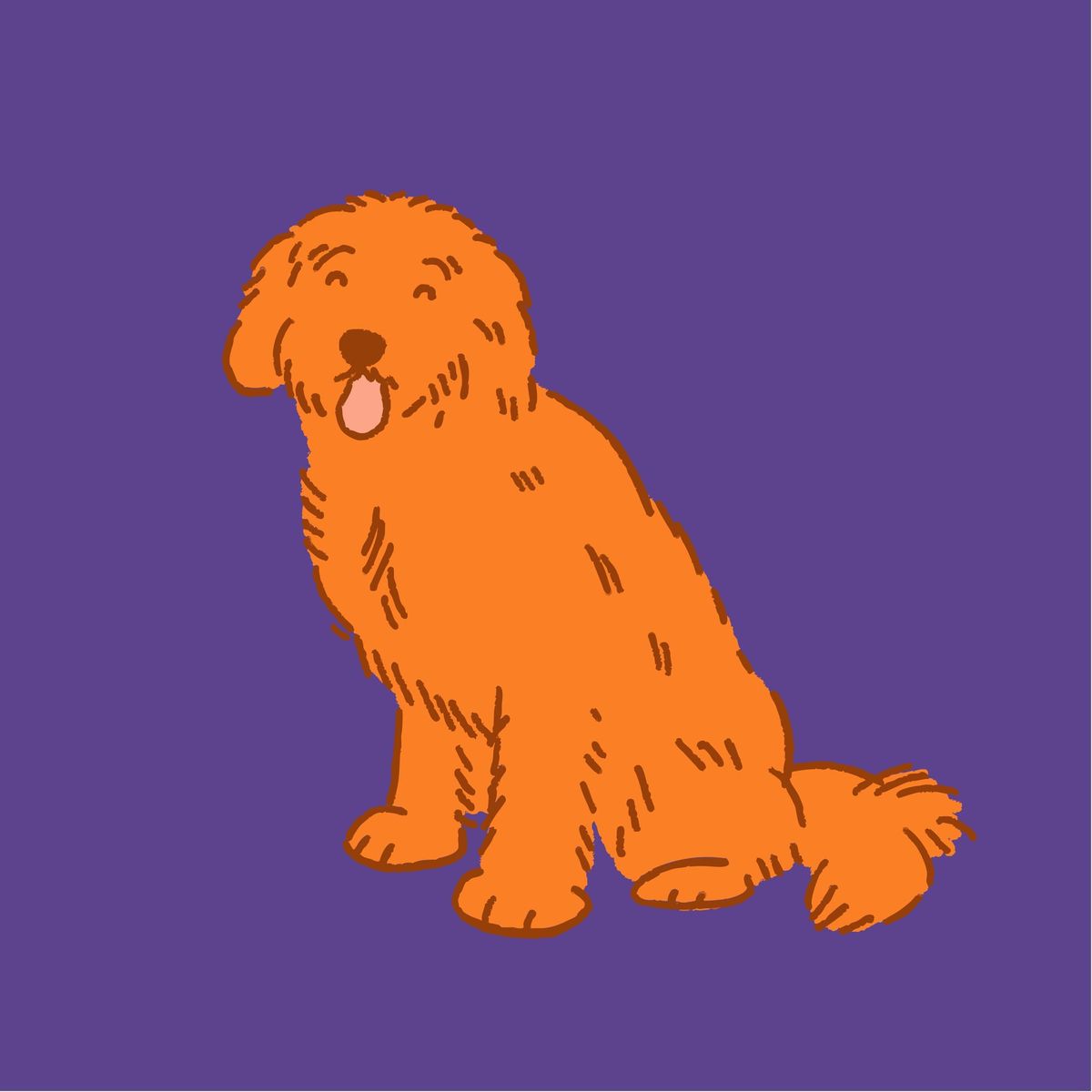 When Is a Pet Considered Senior? Age Charts, What Changes, and What to Do About It
