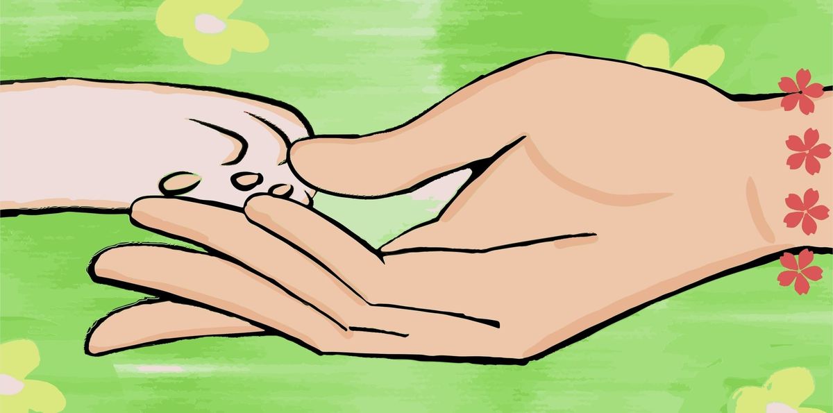 How to Know When It's Time to Say Goodbye to Your Pet