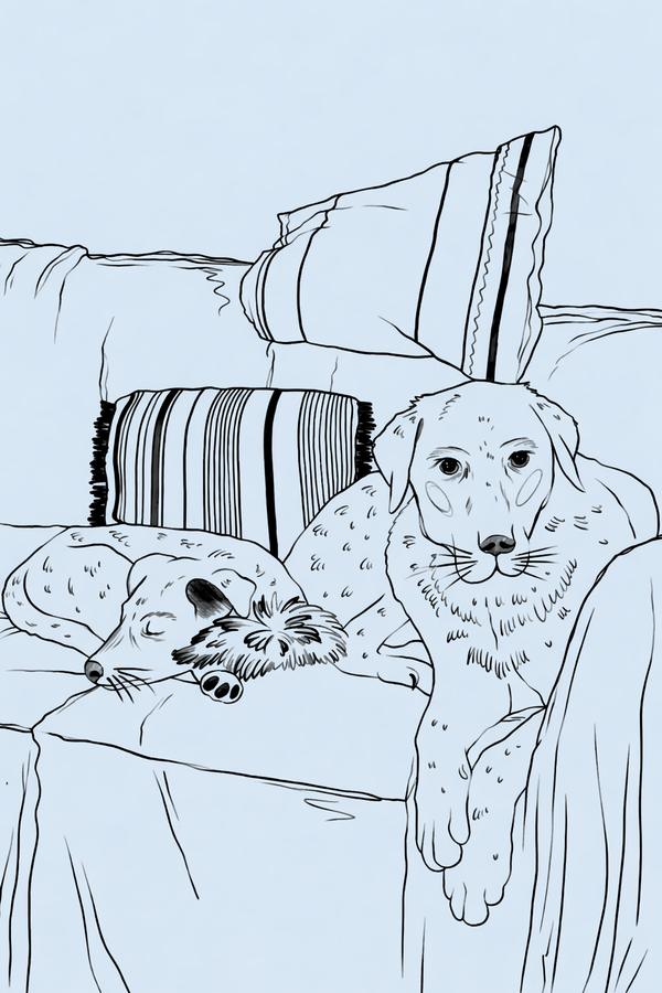 Pet Euthanasia: A Complete Guide for Canadian Families
