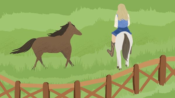 Can You Cremate a Horse in Ontario? What to Know in 2026