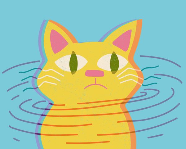 Signs Your Pet Is Dying: What to Watch For and When to Call the Vet