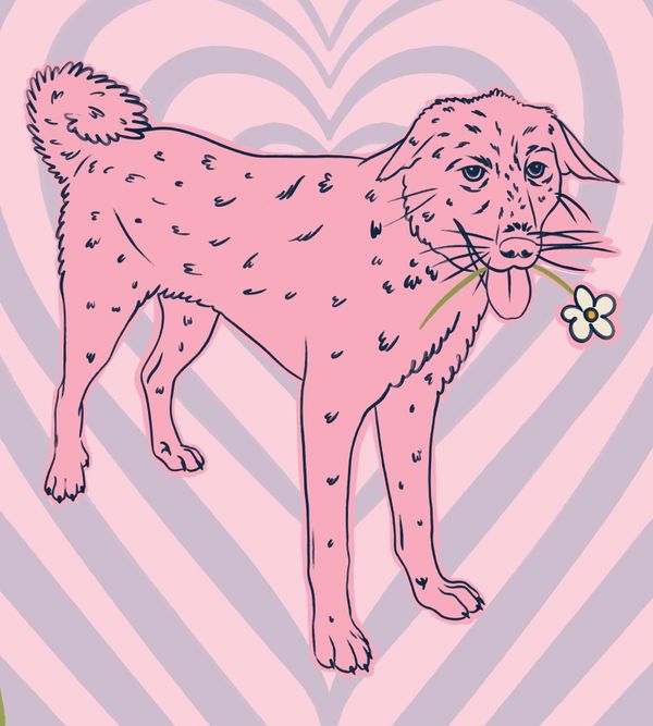 How to Memorialize Your Pet: Ideas That Actually Help