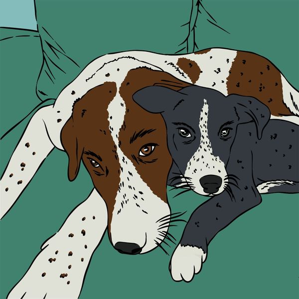 Do Pets Grieve? How Dogs, Cats, and Other Animals React When a Companion Dies