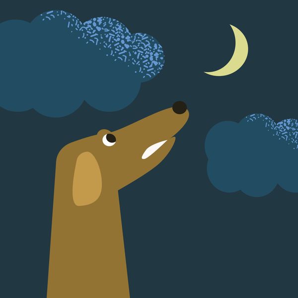 Canine Cognitive Dysfunction: What "Doggy Dementia" Actually Looks Like, What It Costs You, and What You Can Do