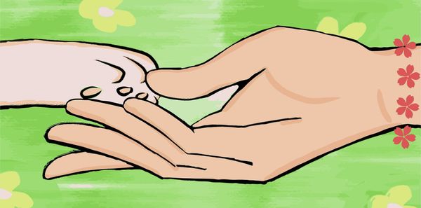 How to Know When It's Time to Say Goodbye to Your Pet