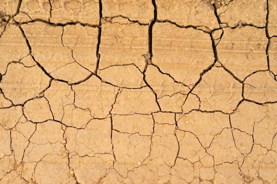 Sudden sapphic agita