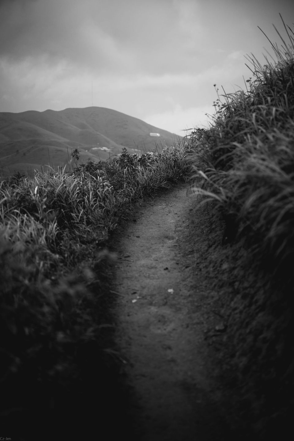 A curving dirt path leading up a mountain.