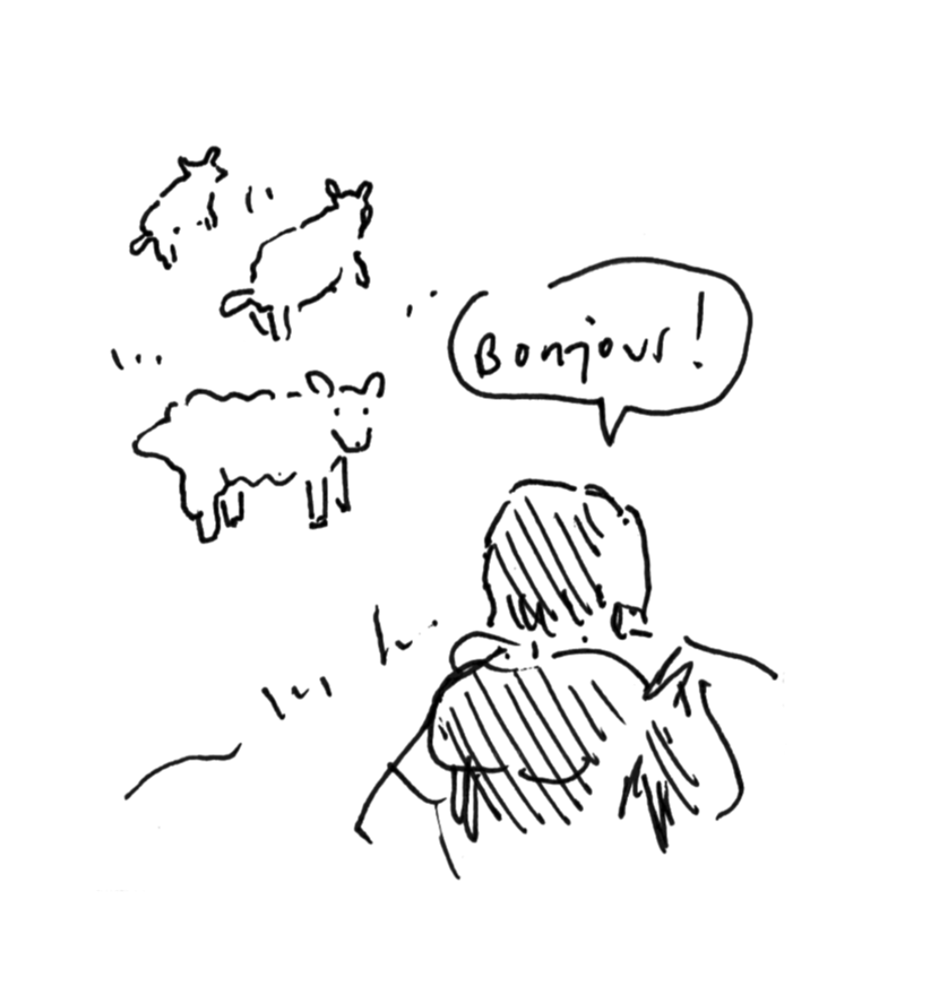 02_shneep.png
