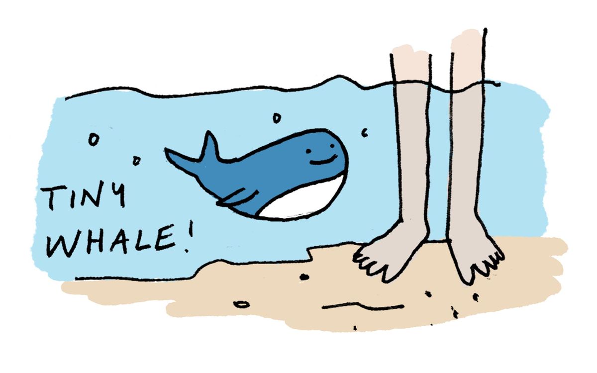 A Weekend in Torridon