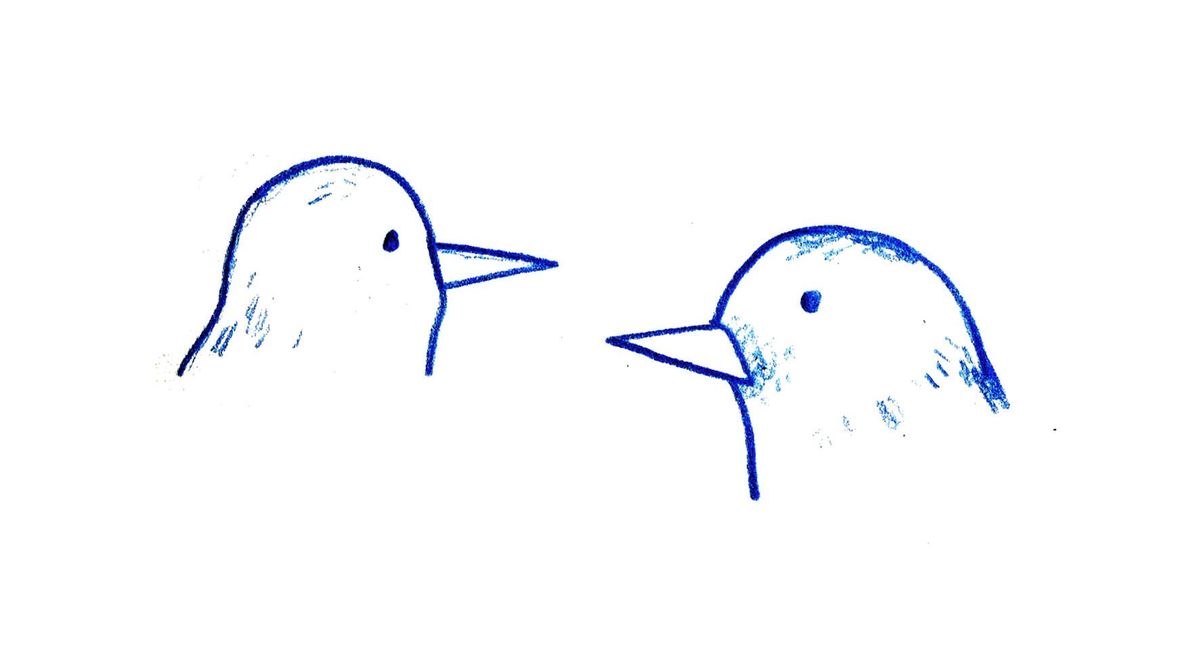 Bird communications