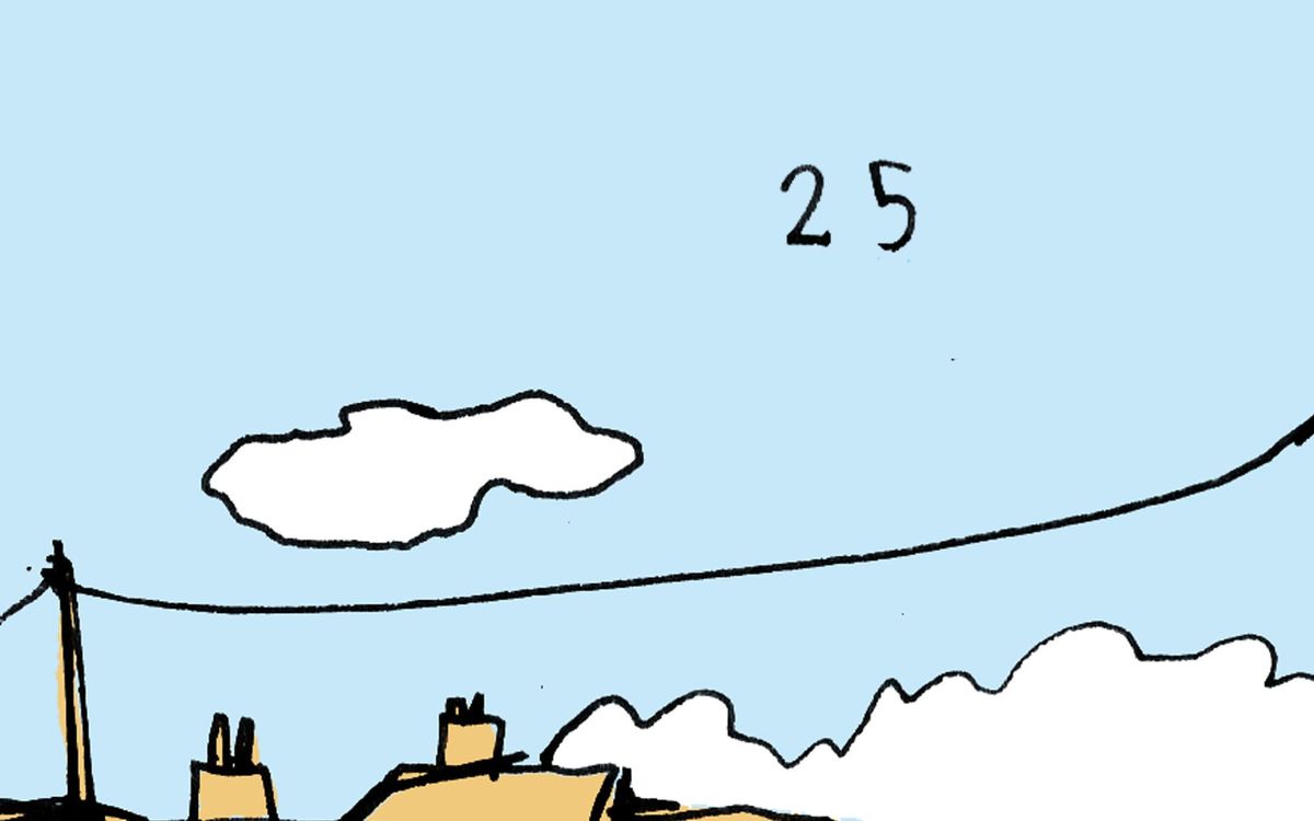 25