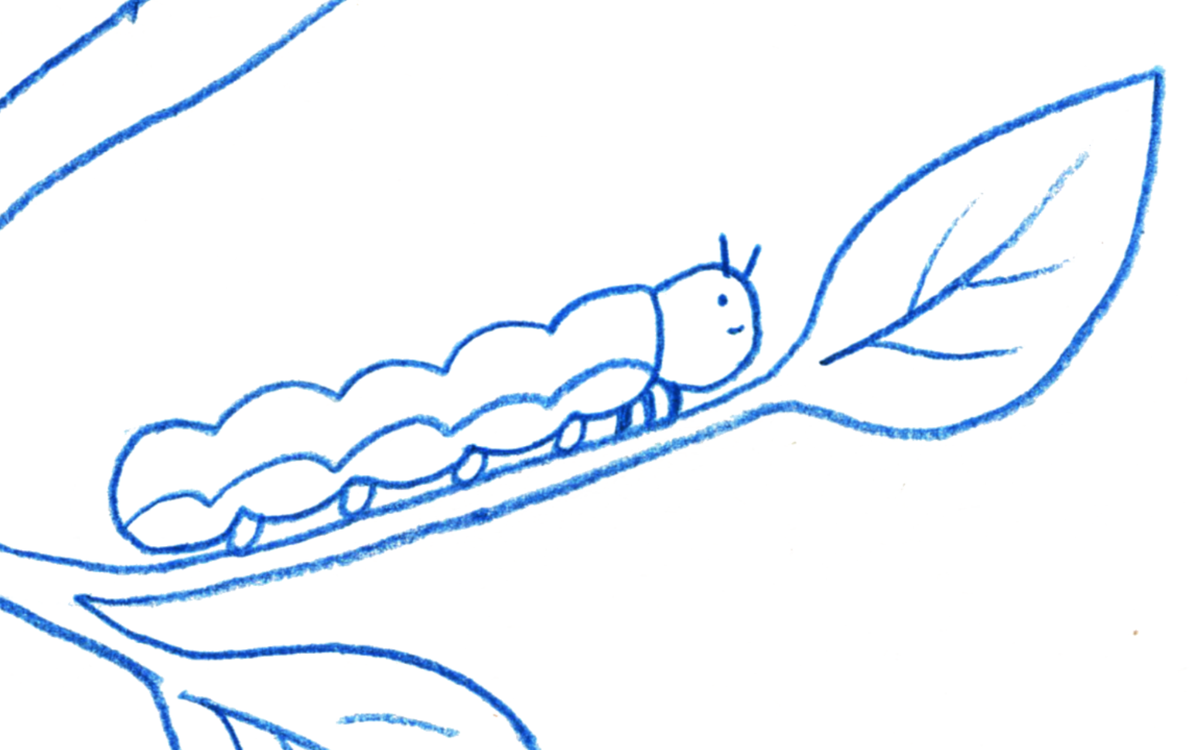 The Lowly Worm
