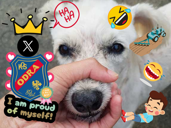 "To tylko żart". Jak media normalizują patologię.