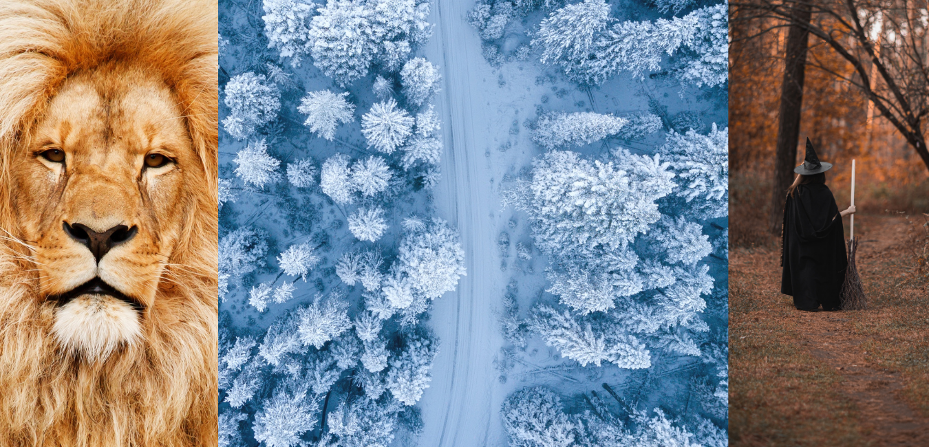 Humans and Animals as Observed in C.S. Lewis’ The Lion, the Witch, and the Wardrobe