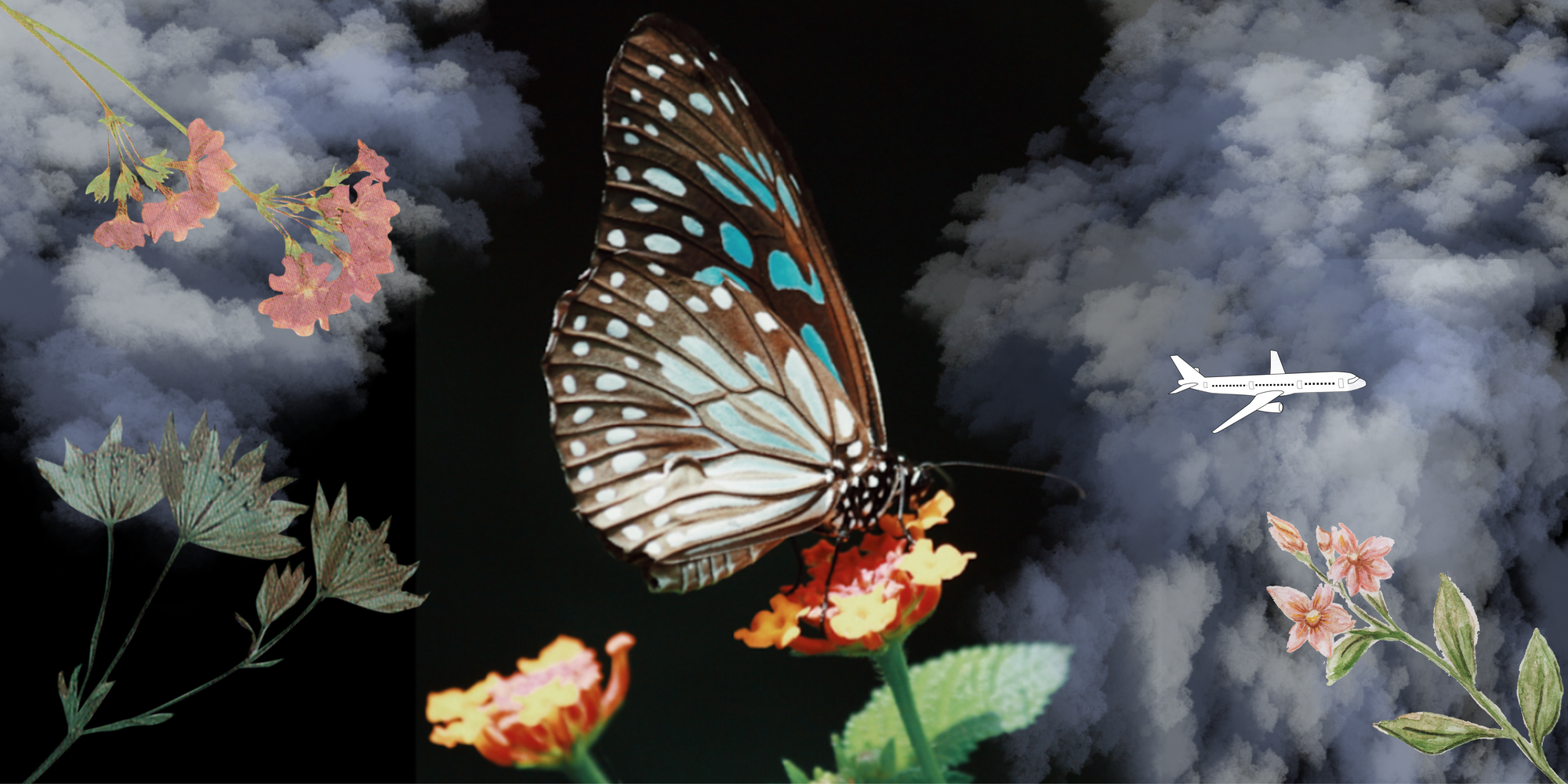 Letter to My Future Self