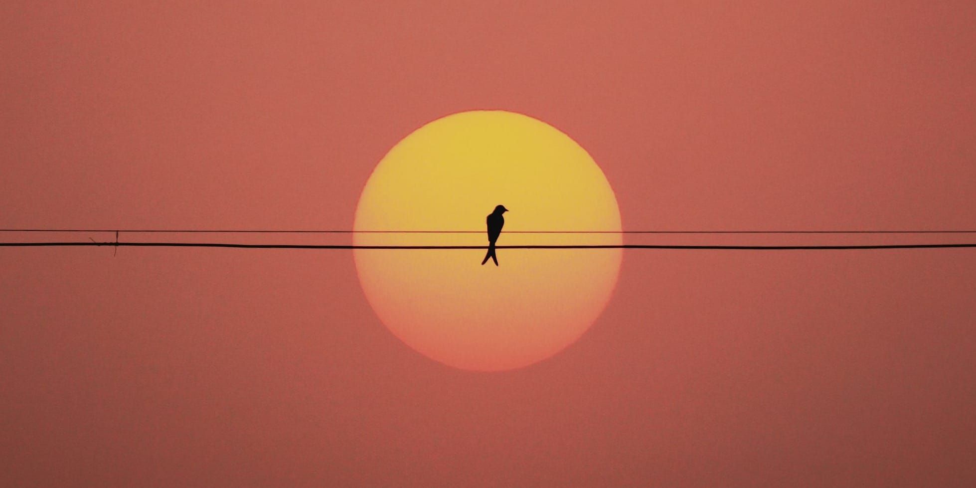 The Sun and Me