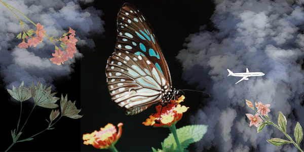 Letter to My Future Self