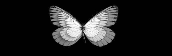 Underaged Alcoholism