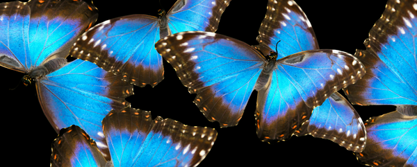 What Becoming a Lesbian Taught Me about Being Straight