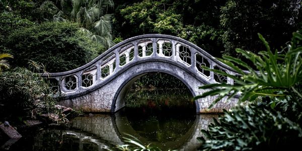 Up at the Bridge Poem