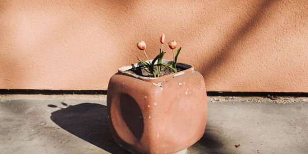 The melting pot of destruction