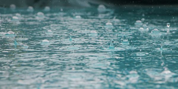 Raindrops Have Friends Too