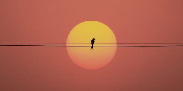 The Sun and Me