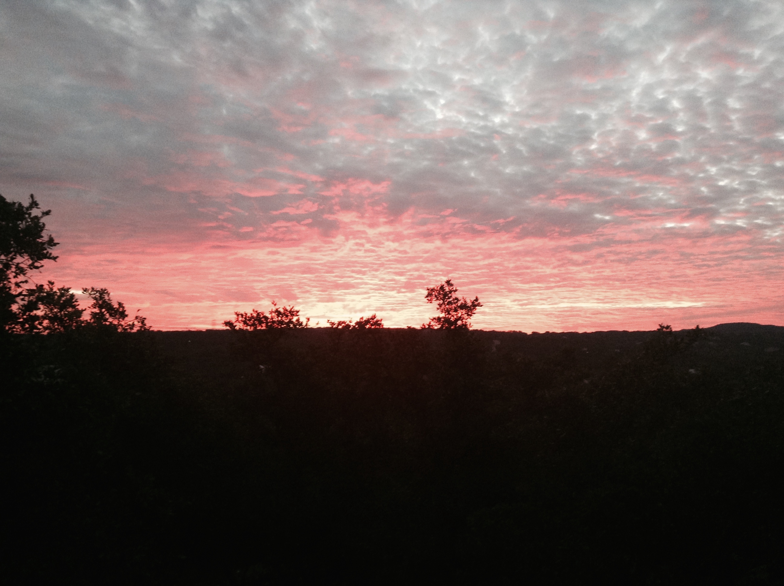 Pink Heavens