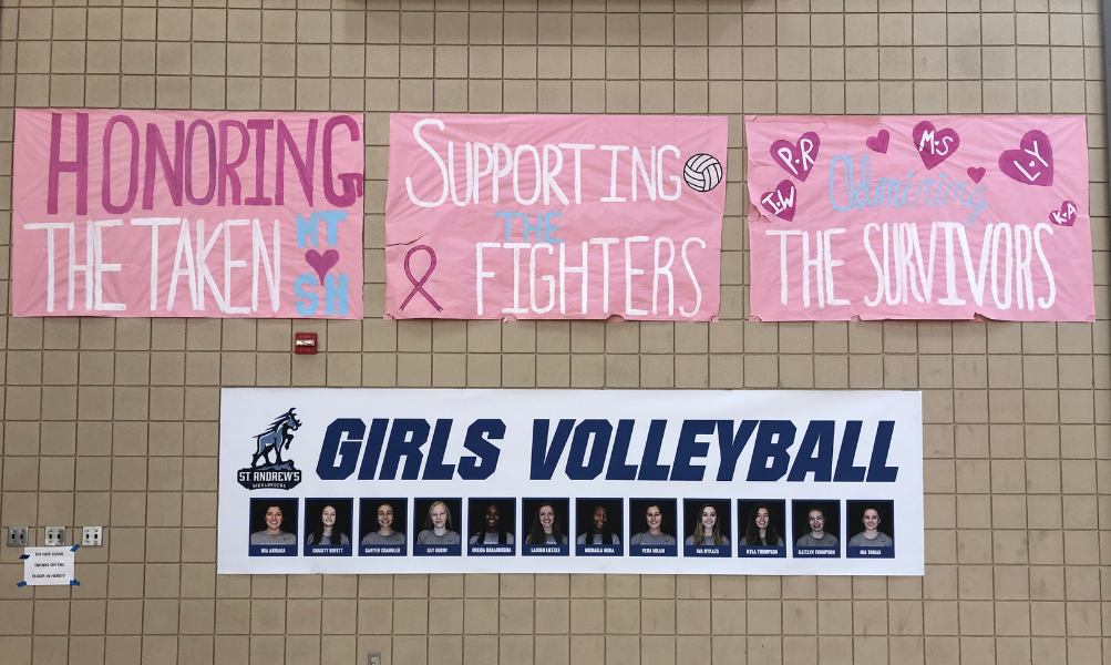 When Pink is the Color of Love, Not Cancer