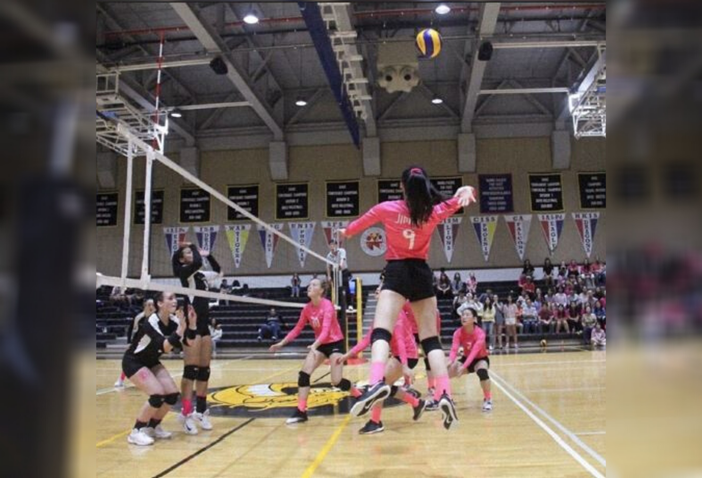 Dig Pink Impacting Breast Cancer Internationally