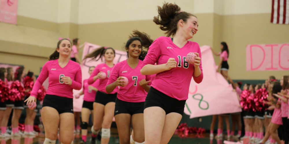 Seeing The Bigger Picture with Dig Pink