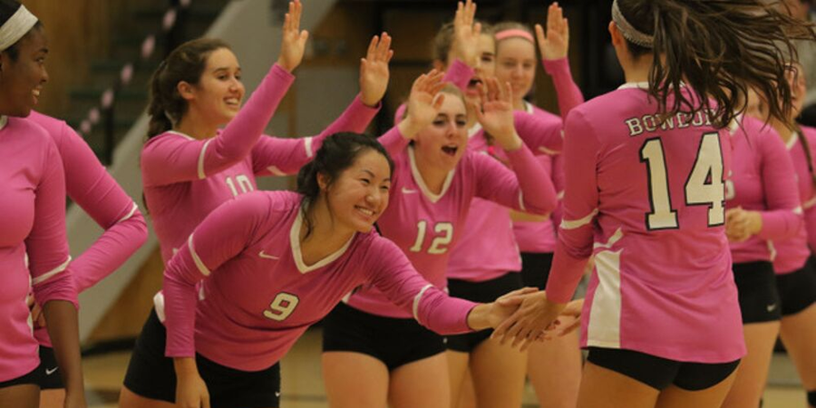 Dig Pink Breaking Social Boundaries at The College Level