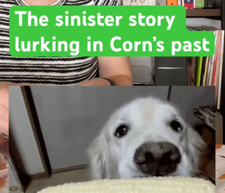 Corn's Shady Past Revealed
