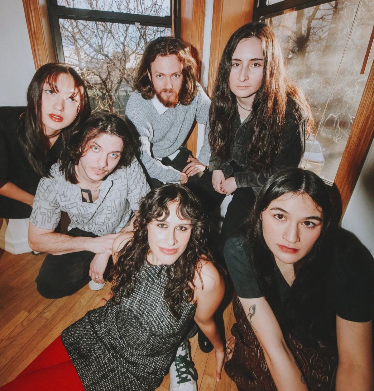 Beauty in the Breakdown: Partygirl - Birdspotting