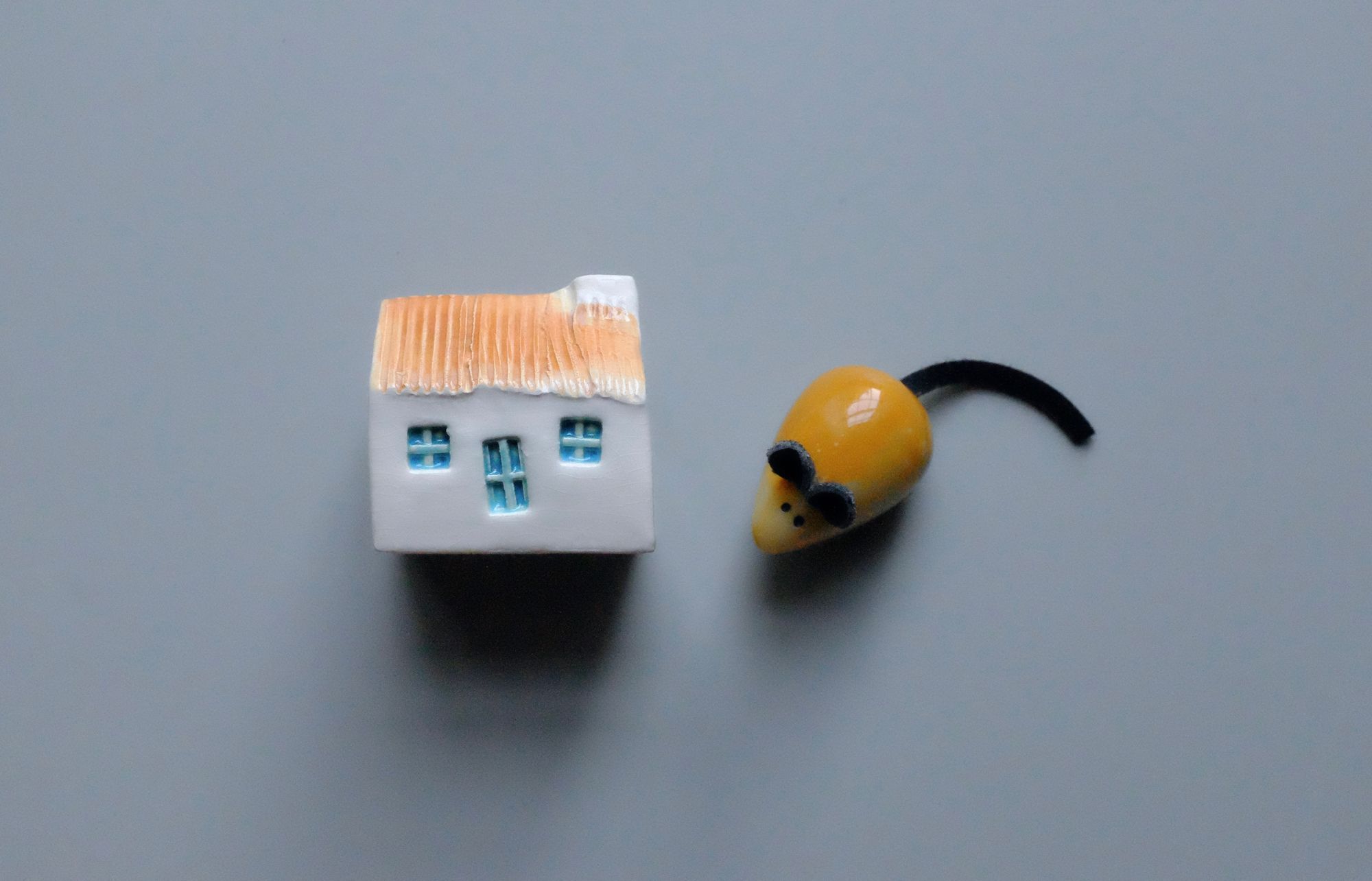 チャリティーショップで宝探し