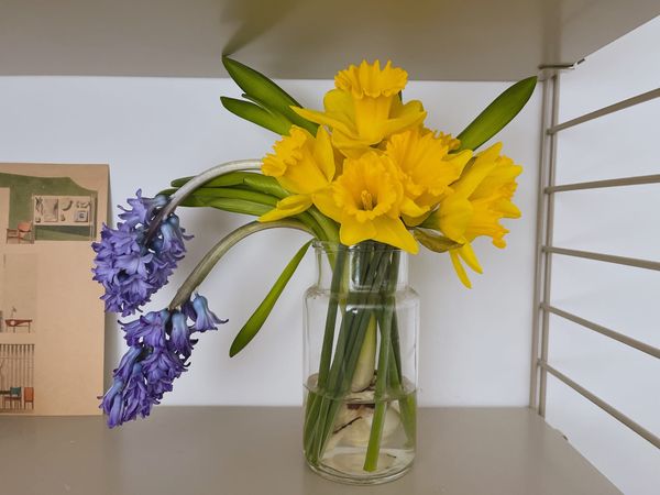 異国で感じる春の花