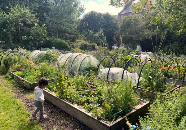 エディンバラの裏庭で見つけたオアシス