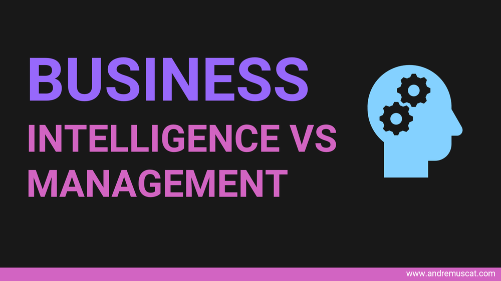 How to differentiate between business intelligence and business management?