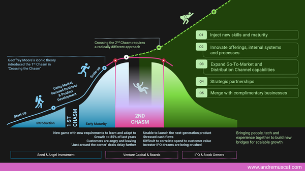 Scaling Product and Consultancy-Service Businesses Organically and Inorganically through M&A