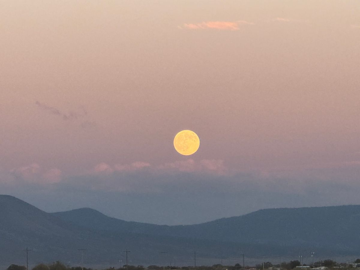 Trade Alert, Chasing Momentum vs. Value, REM Miners, Voyager Outlook, and Much More