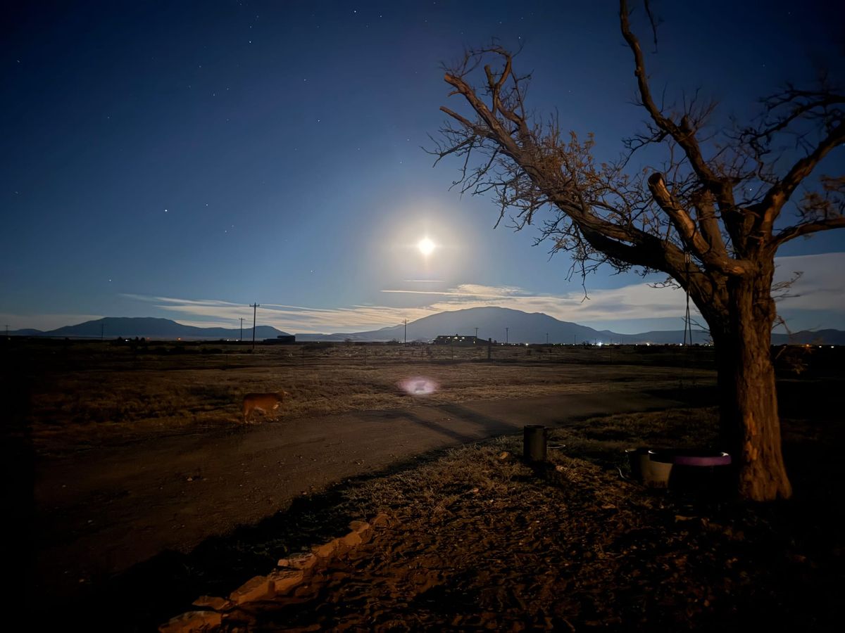 Market Concerns, CRWV, CRCL, And Much More