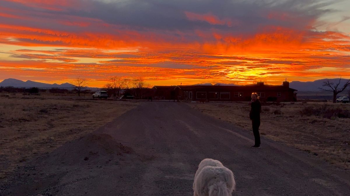 Claude, RAM Shortage, Tariffs, Robotaxis, and Much More