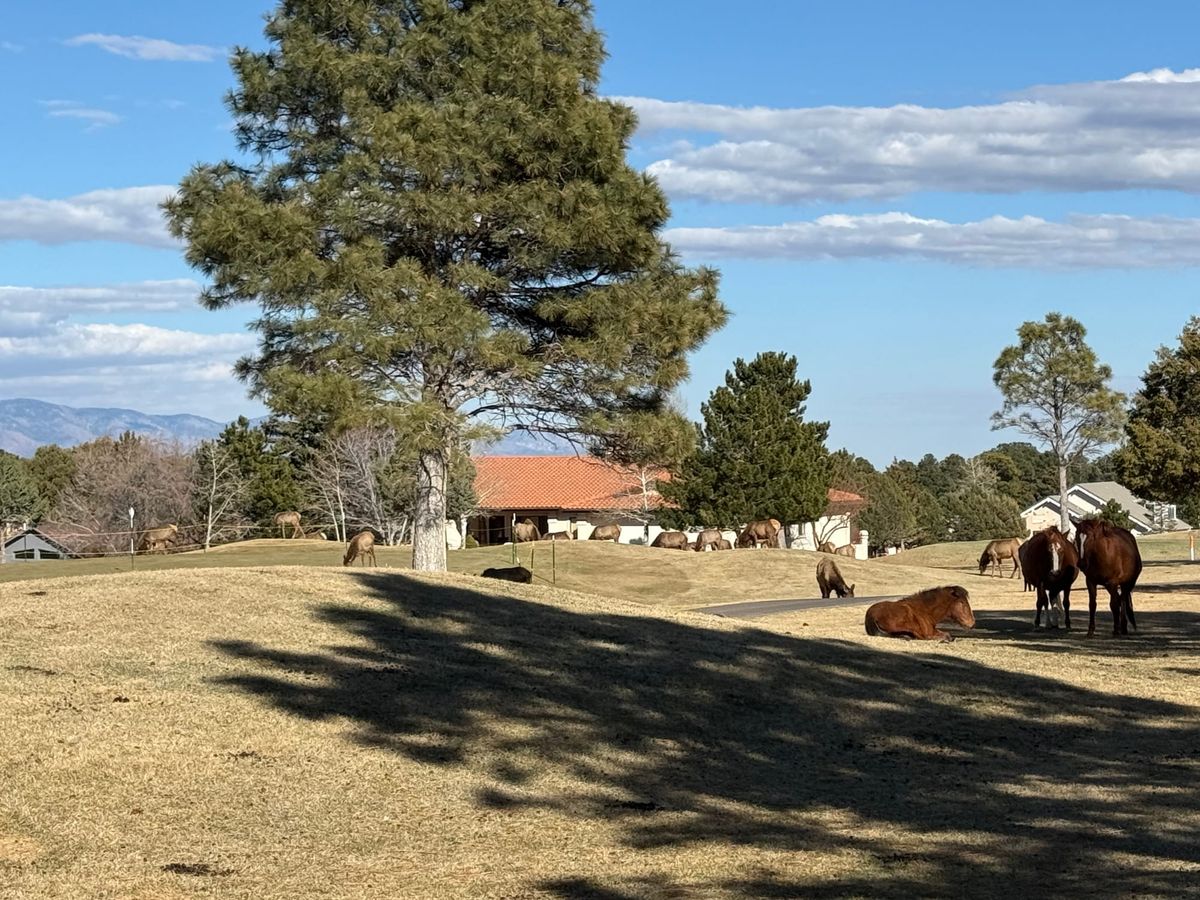 Cody in NYC and on Fox next week,  Citrini Article, Private Credit, and Much More