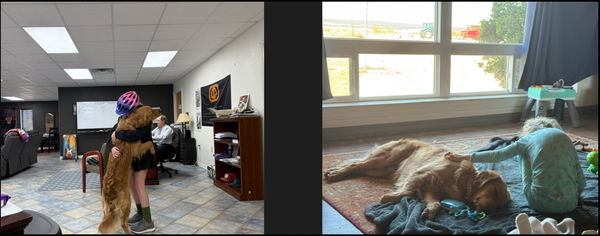 Tariffs, Trump, Cybertrucks, Cody for President, And Much More